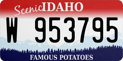 ID license plate W953795