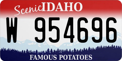 ID license plate W954696