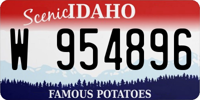 ID license plate W954896