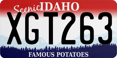 ID license plate XGT263