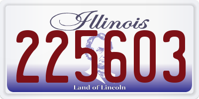 IL license plate 225603