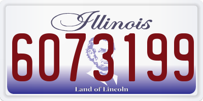 IL license plate 6073199