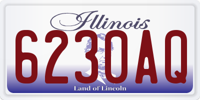 IL license plate 6230AQ