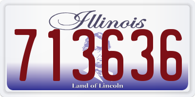 IL license plate 713636