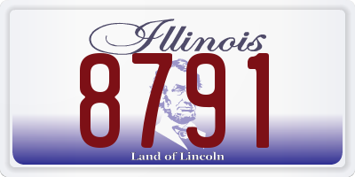 IL license plate 8791