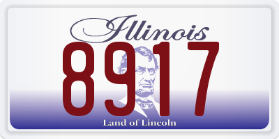 IL license plate 8917