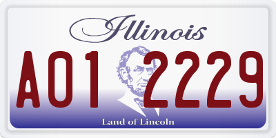 IL license plate A012229