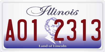 IL license plate A012313
