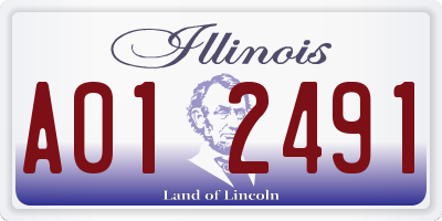 IL license plate A012491
