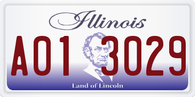 IL license plate A013029