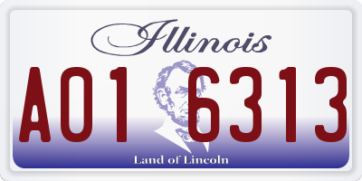 IL license plate A016313
