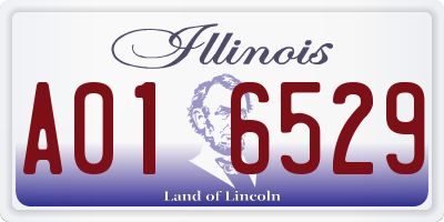 IL license plate A016529