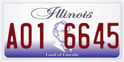 IL license plate A016645