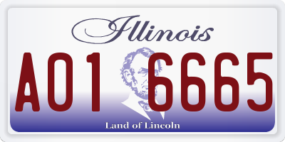 IL license plate A016665