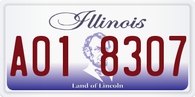 IL license plate A018307