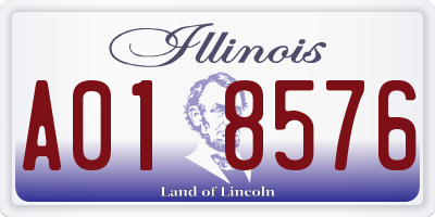 IL license plate A018576