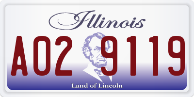 IL license plate A029119