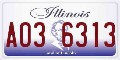 IL license plate A036313