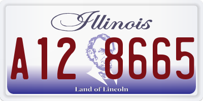 IL license plate A128665