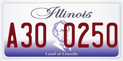 IL license plate A300250