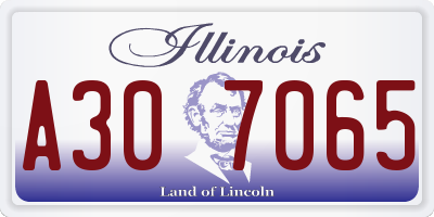 IL license plate A307065