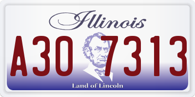 IL license plate A307313