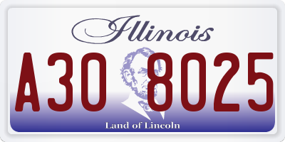 IL license plate A308025