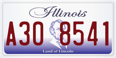 IL license plate A308541