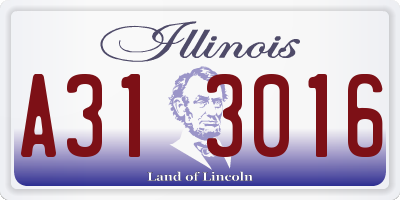 IL license plate A313016