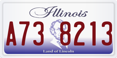 IL license plate A738213