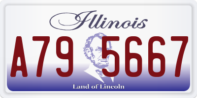IL license plate A795667