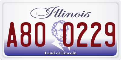 IL license plate A800229