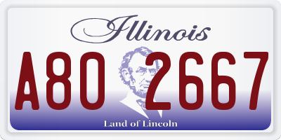 IL license plate A802667