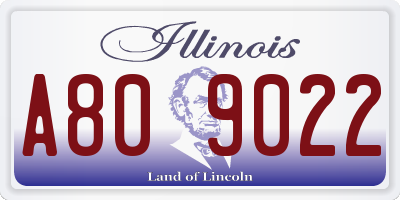IL license plate A809022