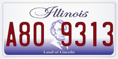 IL license plate A809313