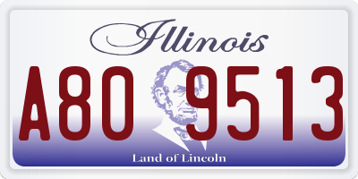IL license plate A809513