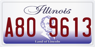 IL license plate A809613