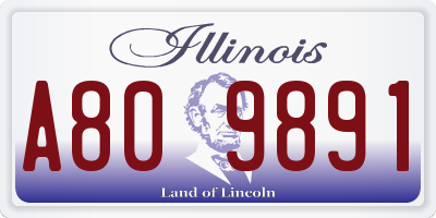 IL license plate A809891