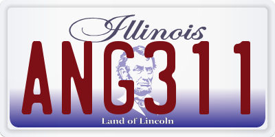 IL license plate ANG311