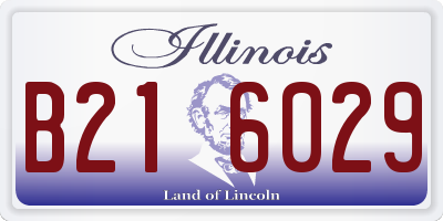 IL license plate B216029