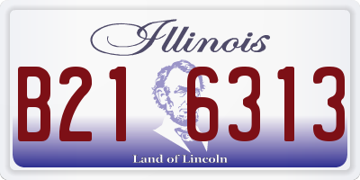 IL license plate B216313