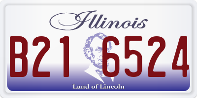 IL license plate B216524