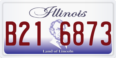 IL license plate B216873