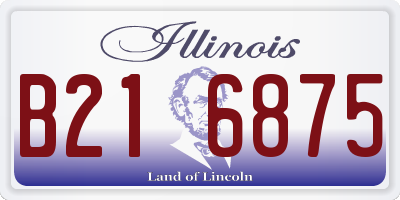 IL license plate B216875