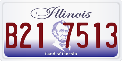 IL license plate B217513