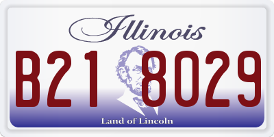 IL license plate B218029