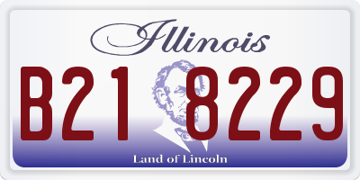 IL license plate B218229
