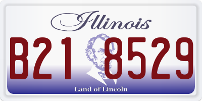 IL license plate B218529