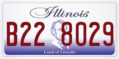 IL license plate B228029