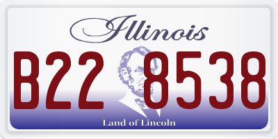 IL license plate B228538